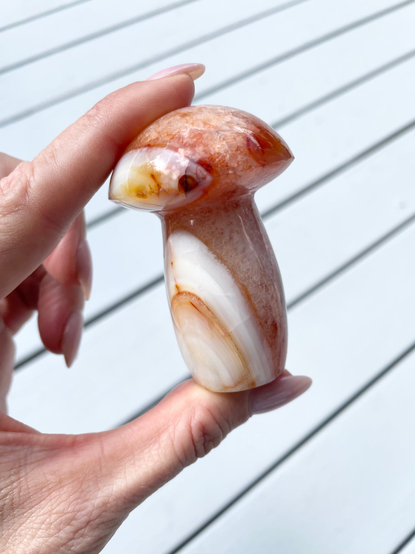 Carnelian Mushroom