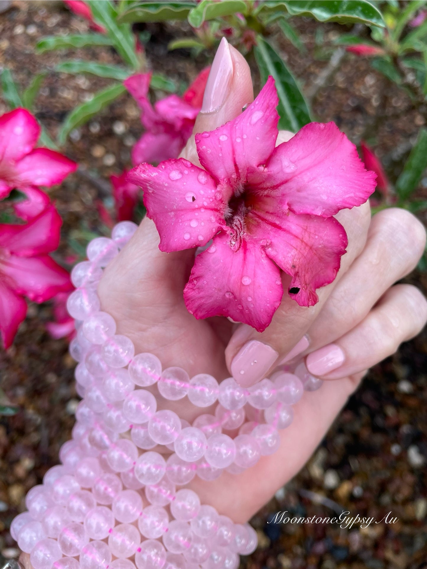 Rose Quartz UNIVERSAL LOVE Healing Bracelet ©️