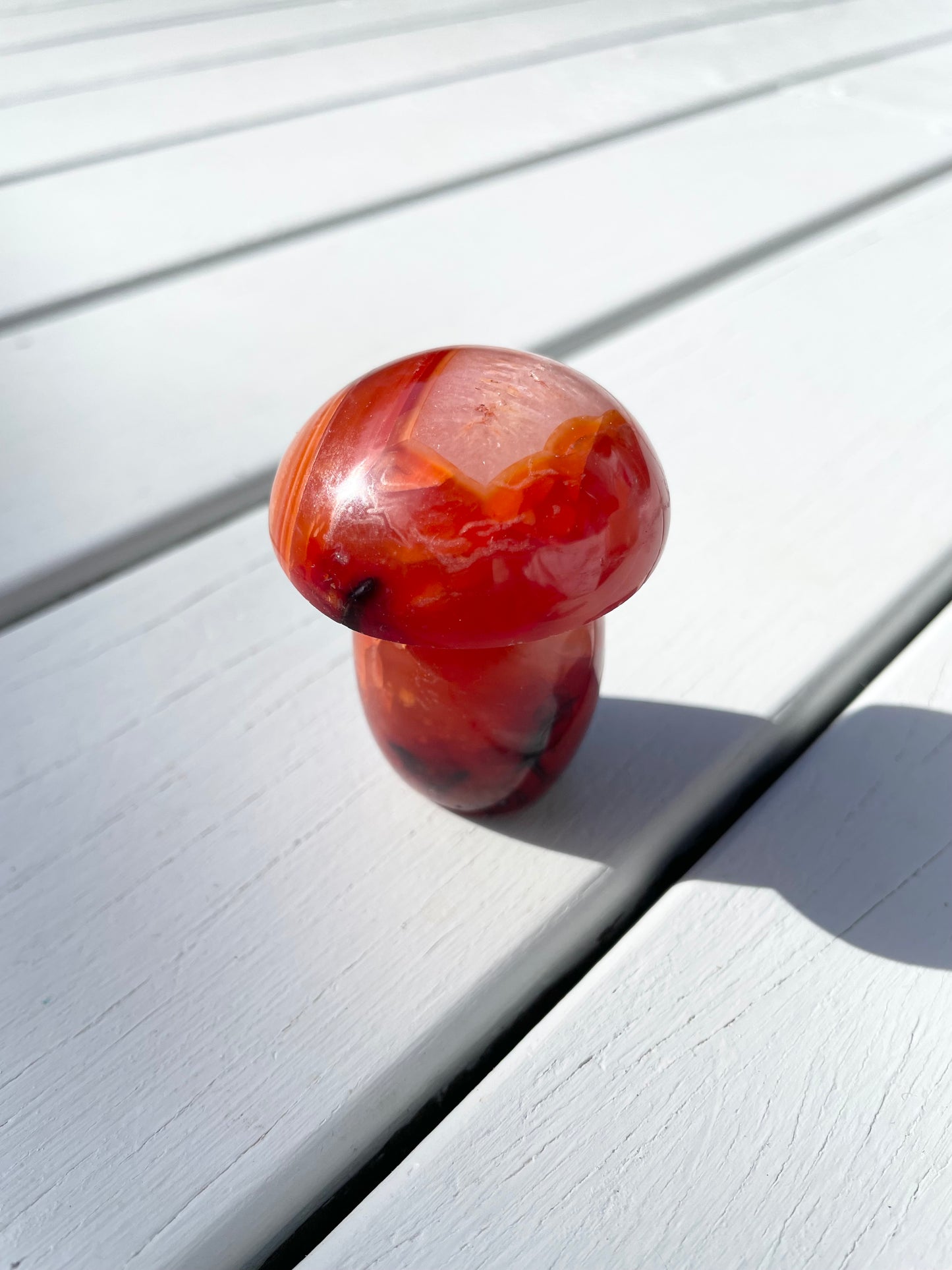 Carnelian Mushroom