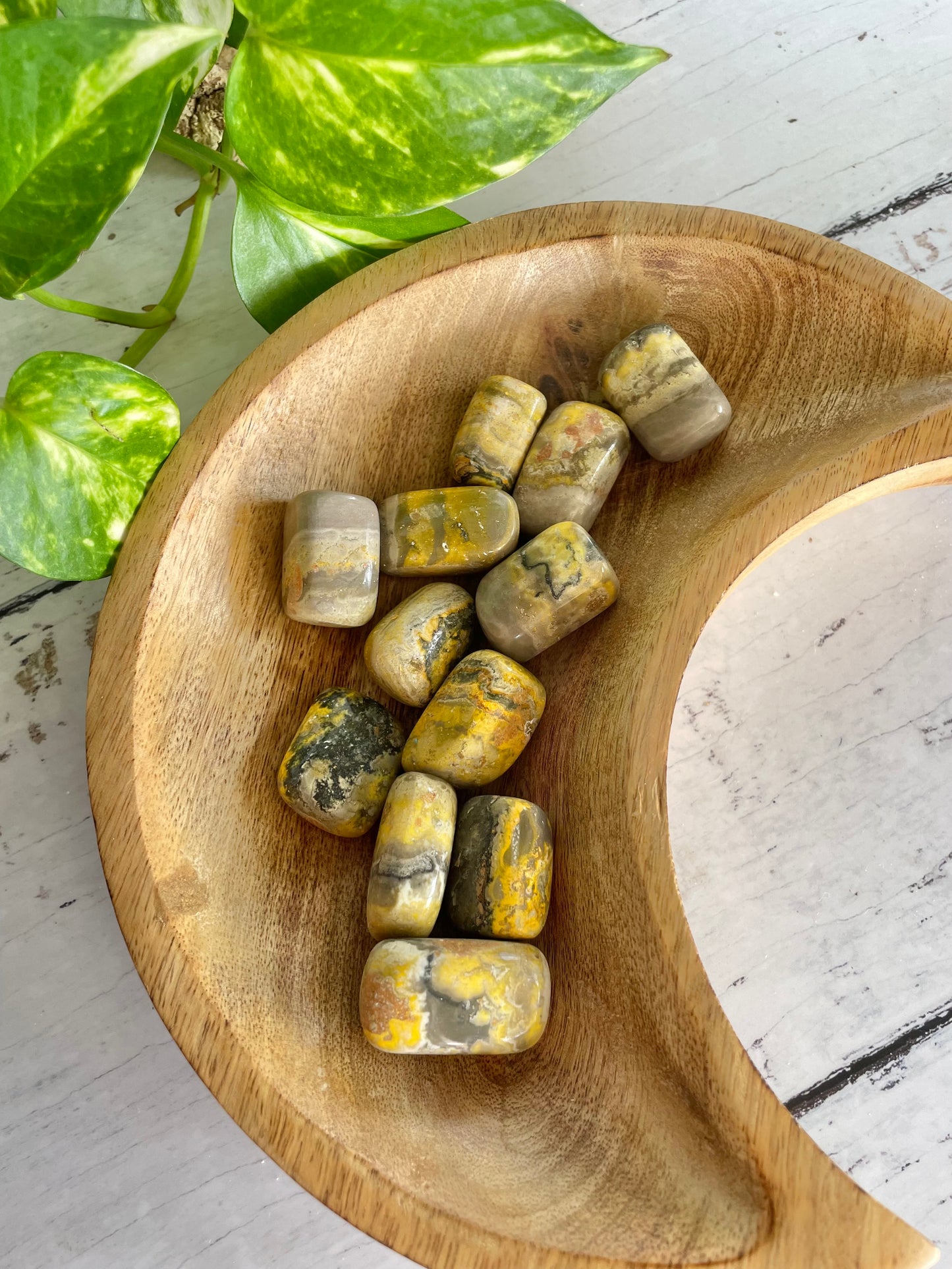 Bumble Bee Tumble Stone