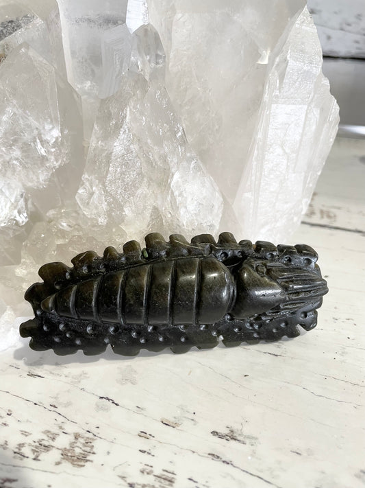 Golden Obsidian Squid