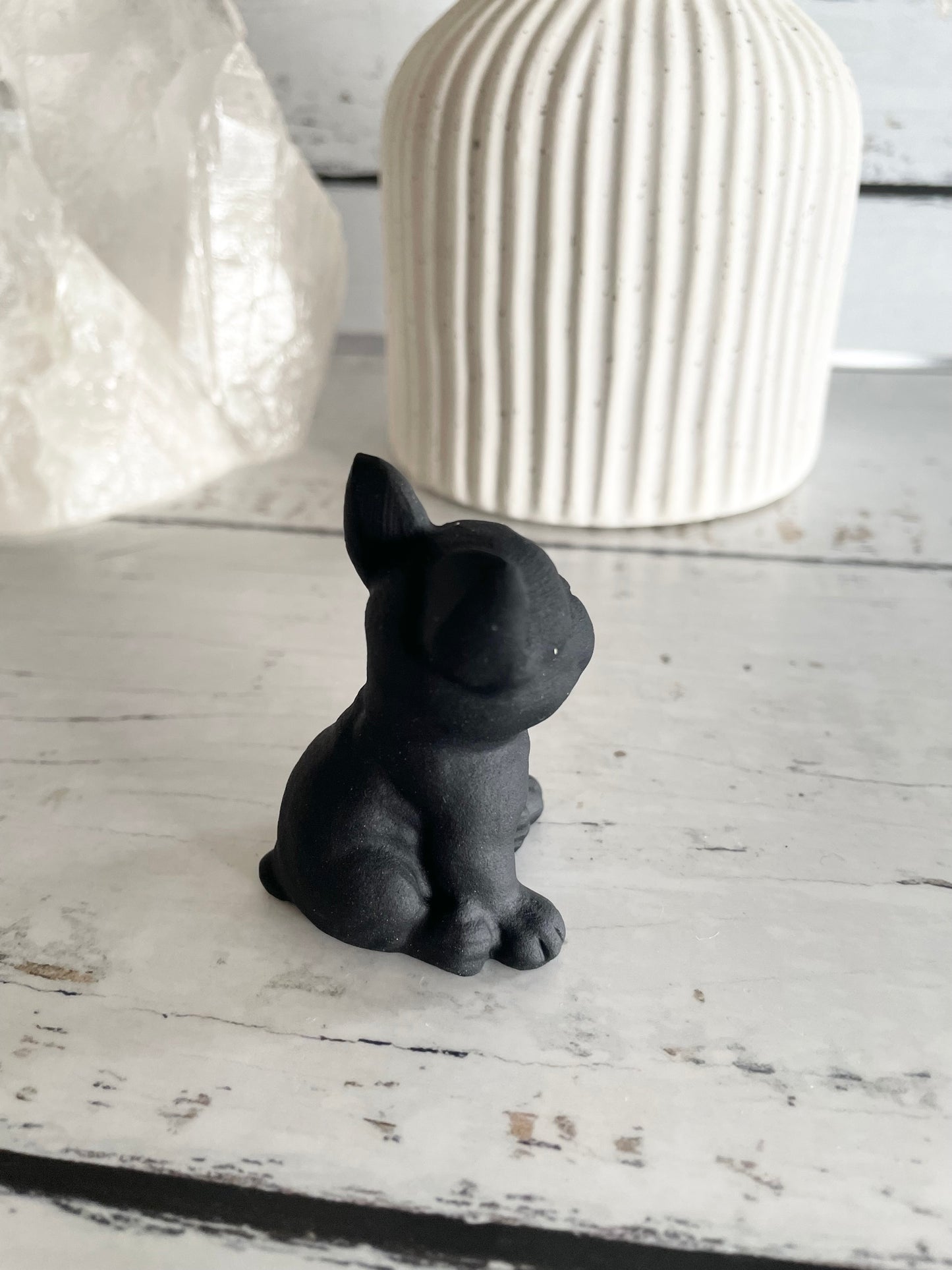 Black Obsidian Dog ~ French Bulldog (cutest frenchie)