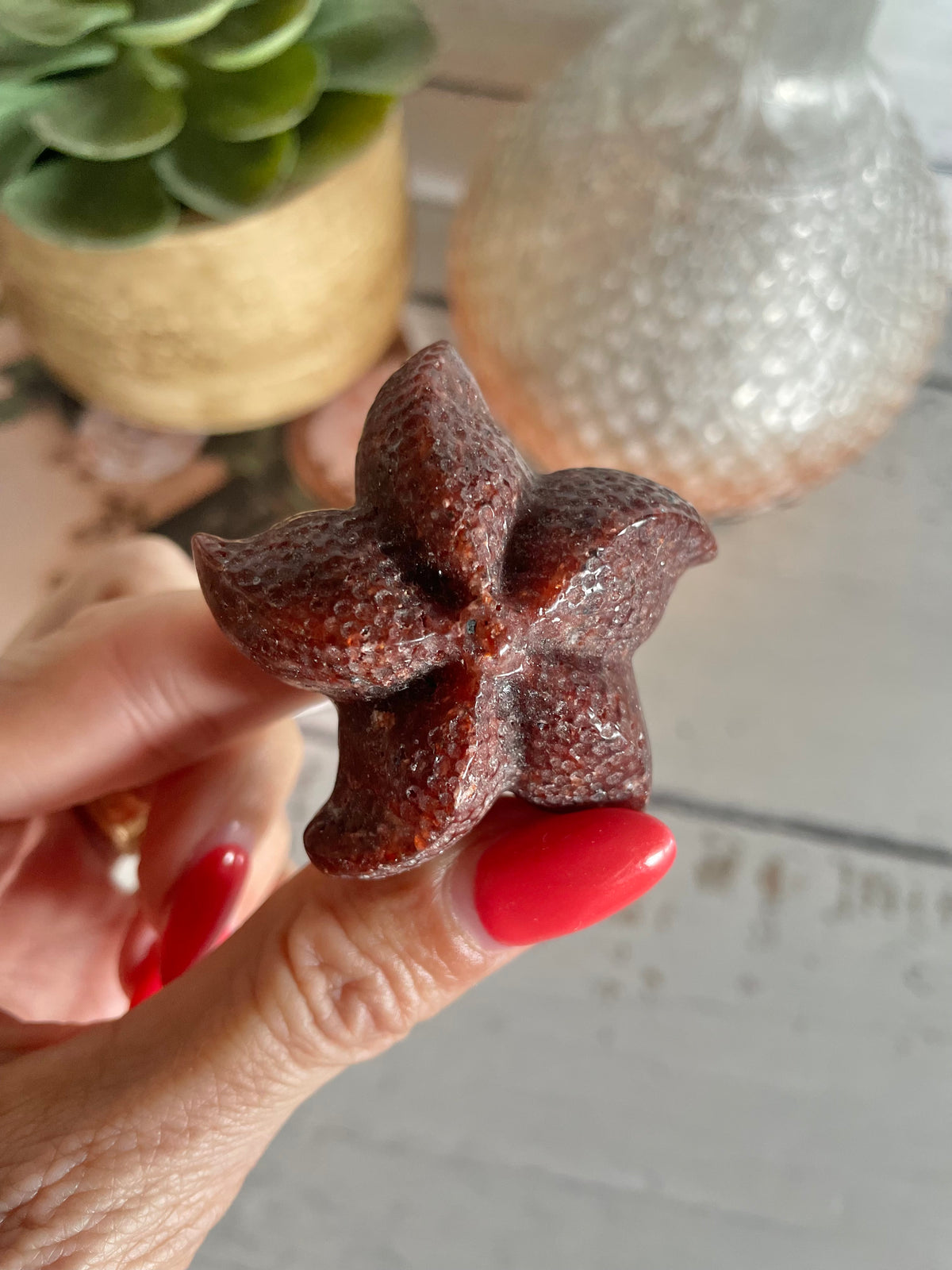 Sea Star ~ Red Jasper