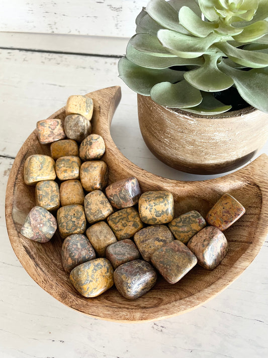 Leopard skin Jasper Tumble Stones