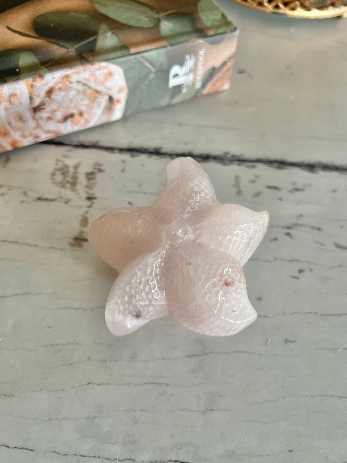 Sea Star ~ Fire Quartz