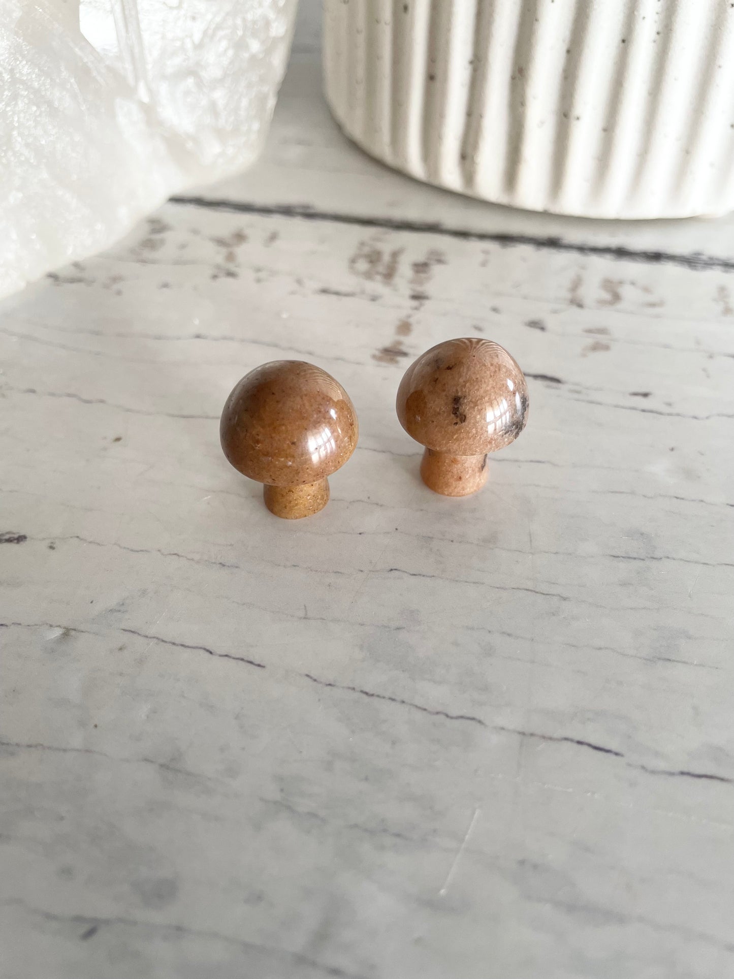 Intuitively chosen ~ Jasper Mushroom