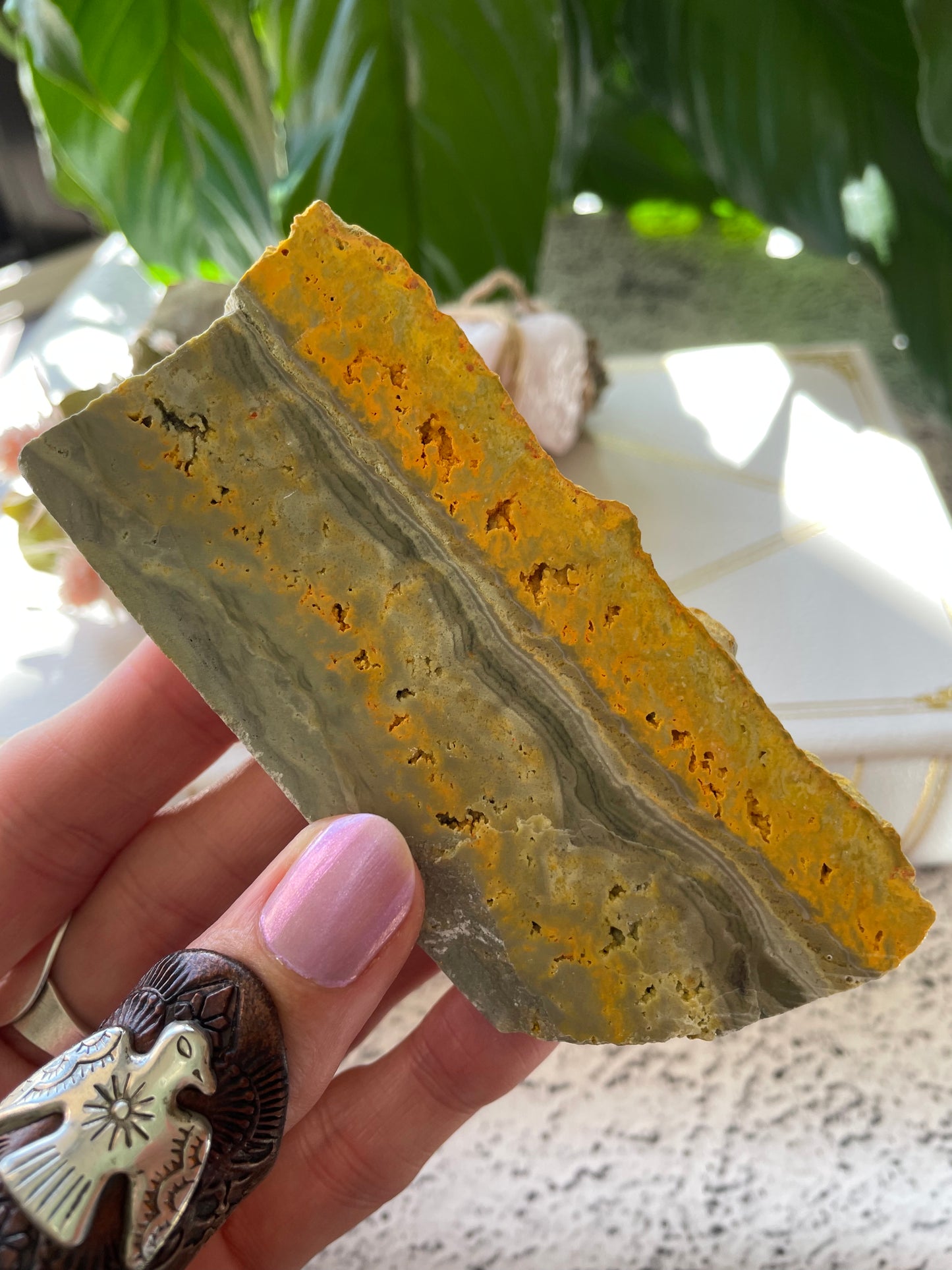 Bumble Bee Jasper Polished Slab