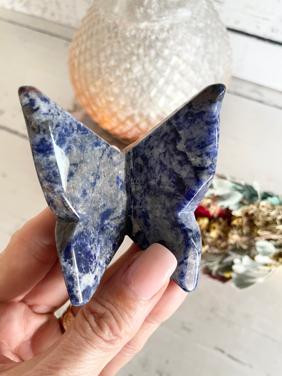 Butterfly ~ Sodalite