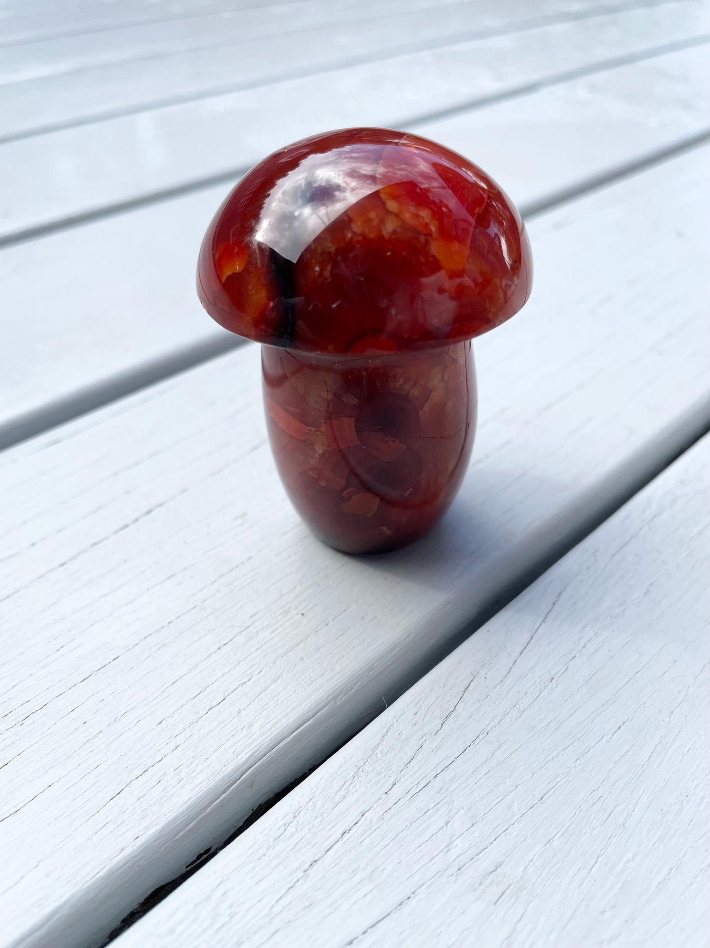 Carnelian Mushroom