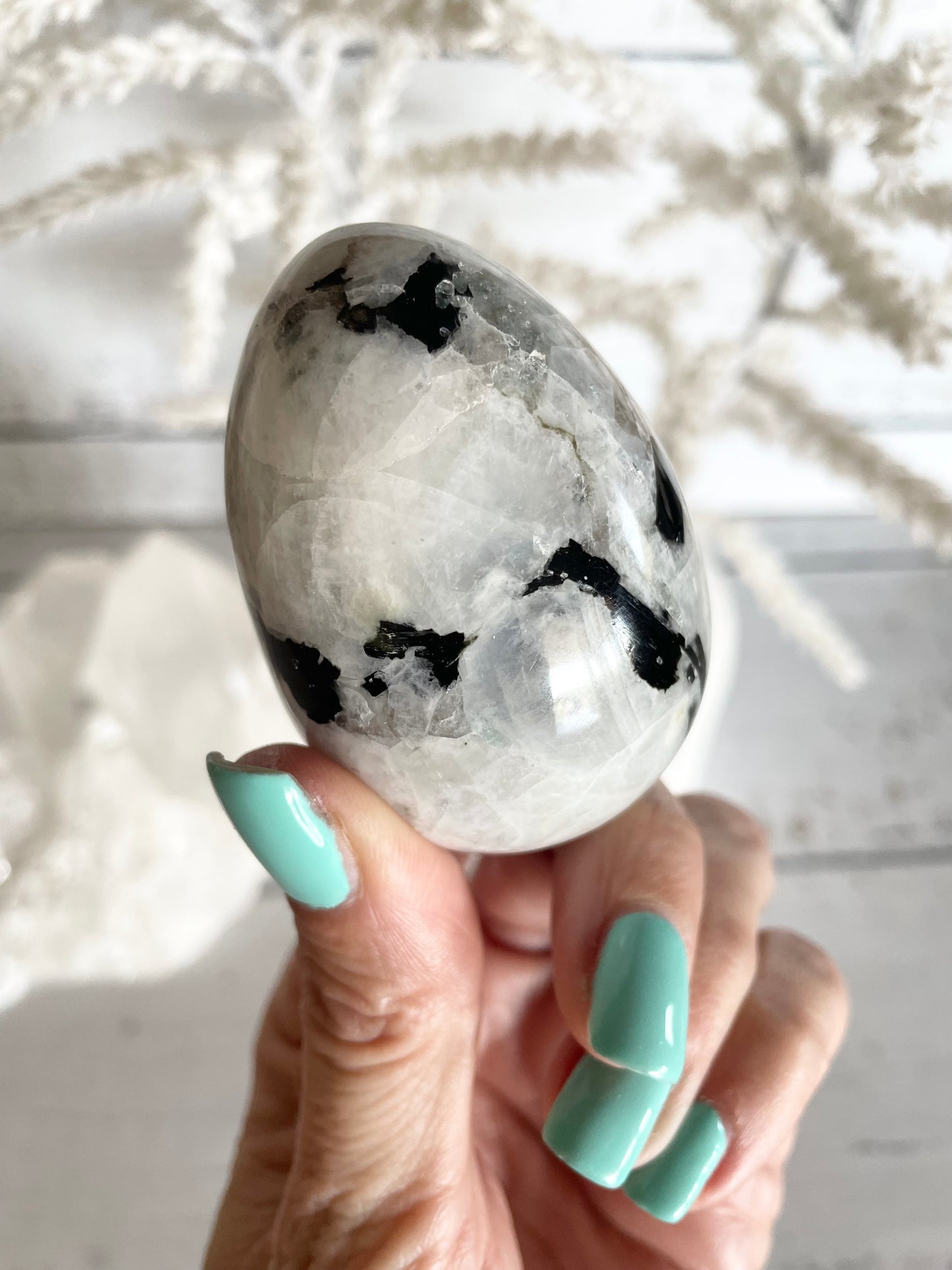 Rainbow Moonstone Egg with holder