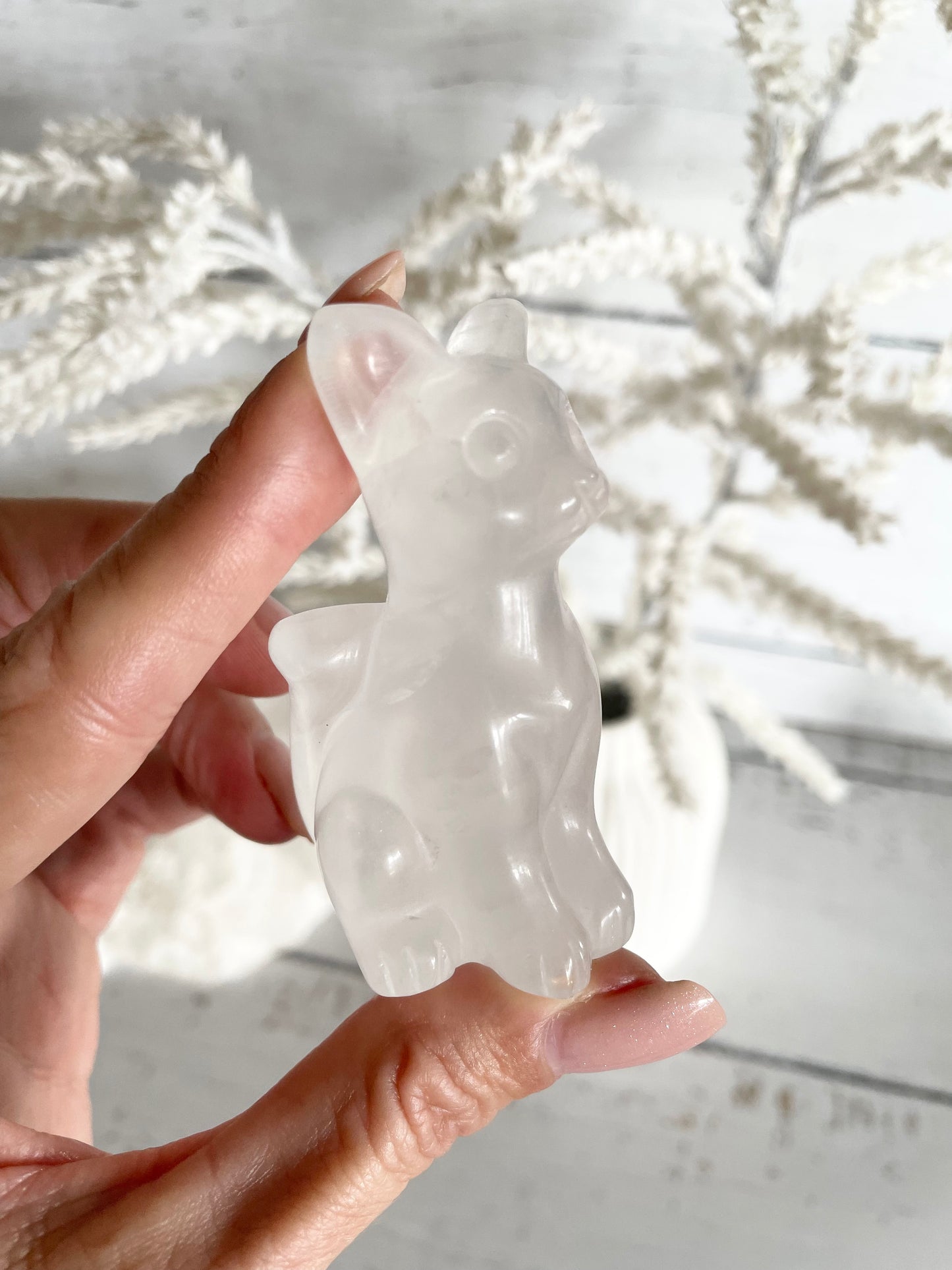 Cat - Clear Quartz