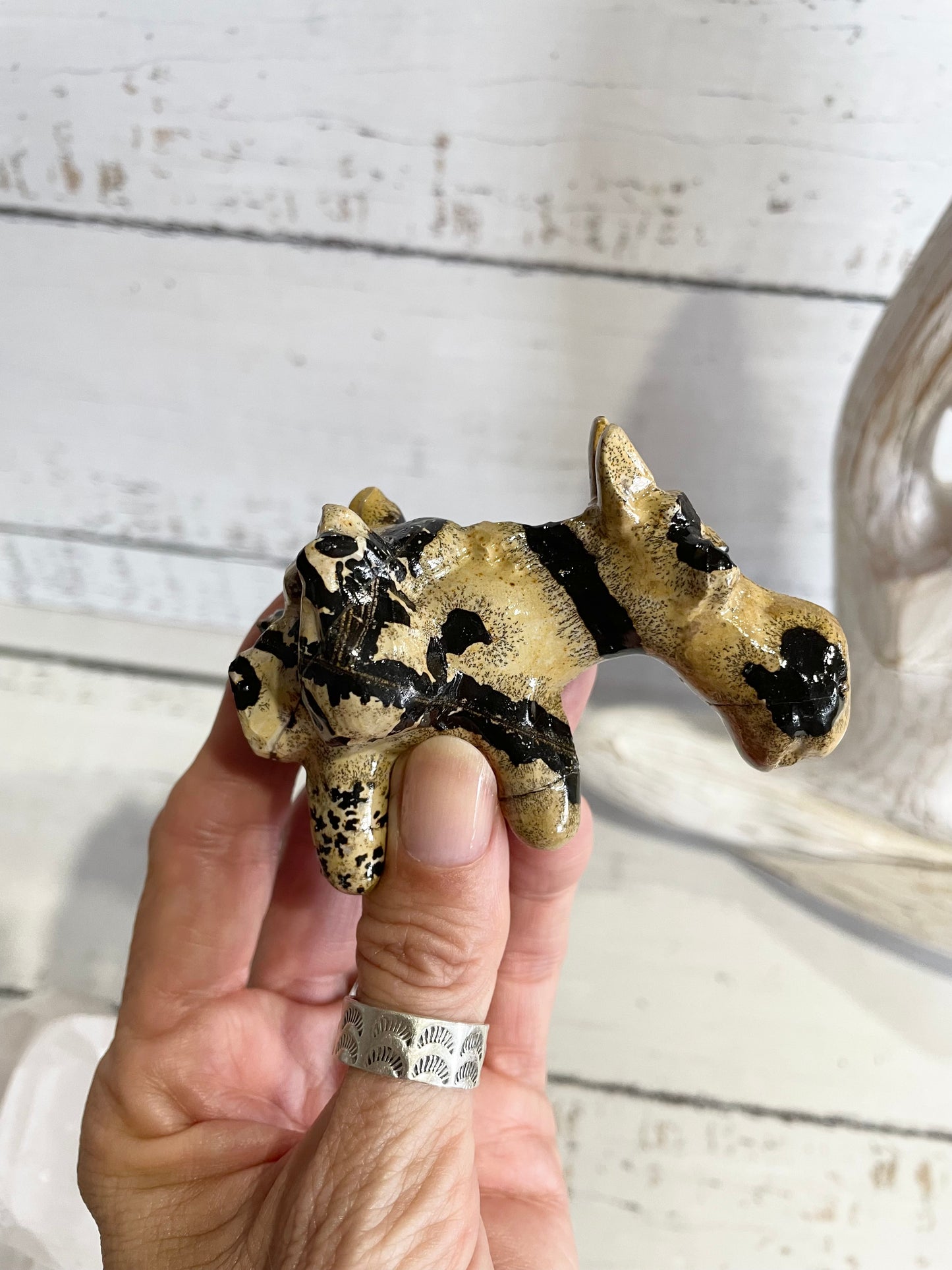 Picture Jasper Donkey ~ 7