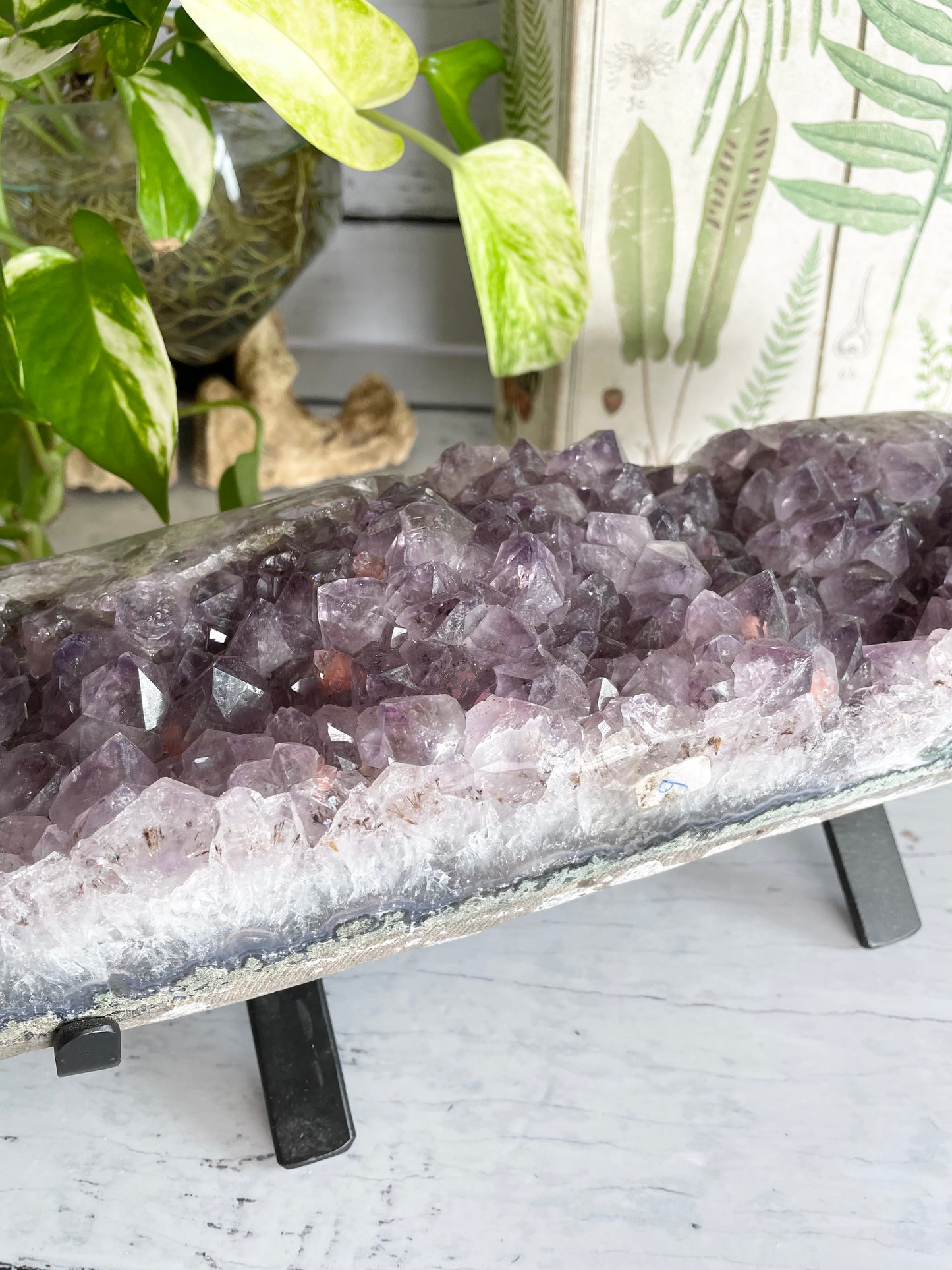 Amethyst Cluster Table Topper ~ 3kgs