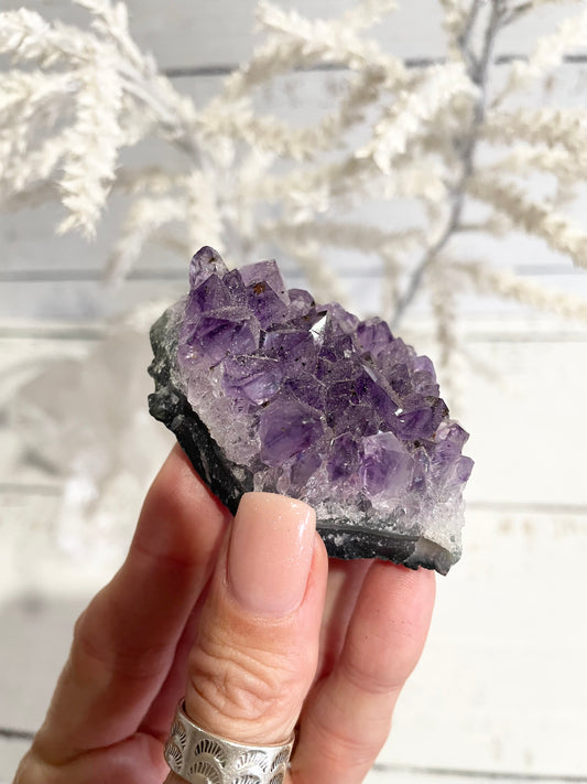 Amethyst Cluster