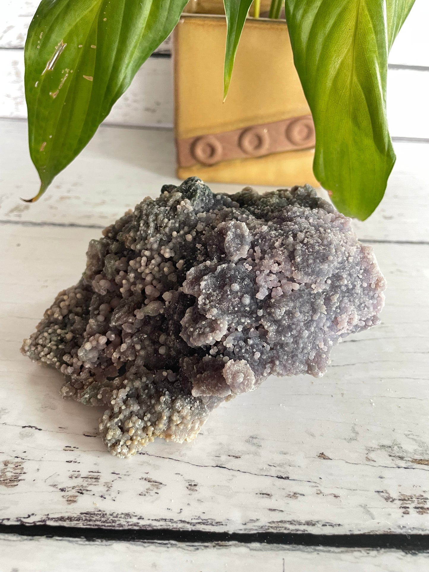 Grape Agate /Botryoidal Purple Chalcedony