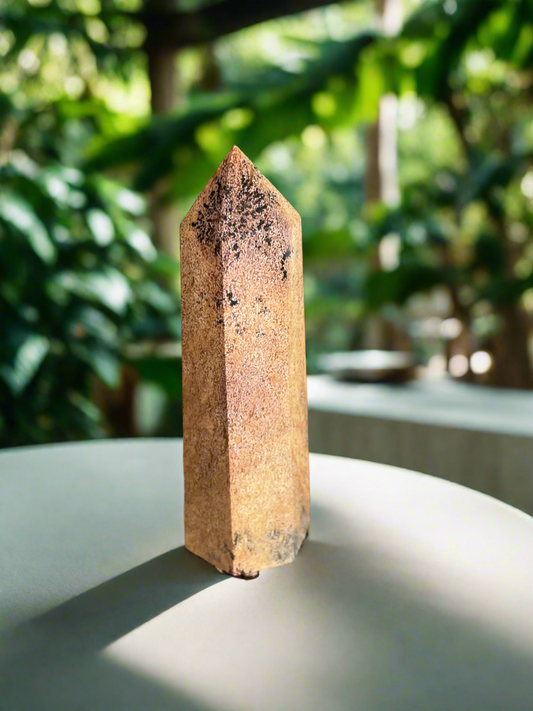 Picture Jasper Generator