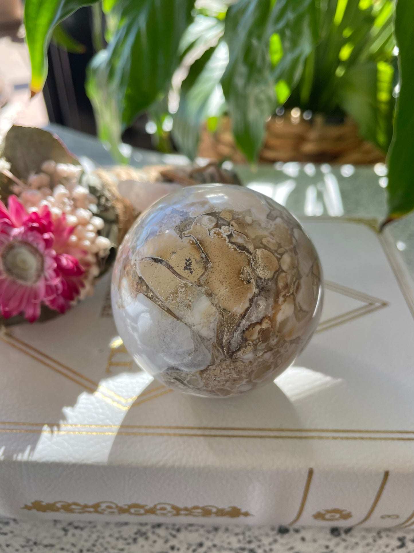 Spotted Agate Sphere Includes Wooden Holder