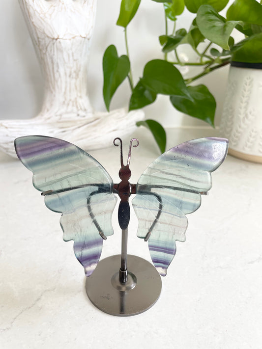 Butterfly ~ Rainbow Fluorite