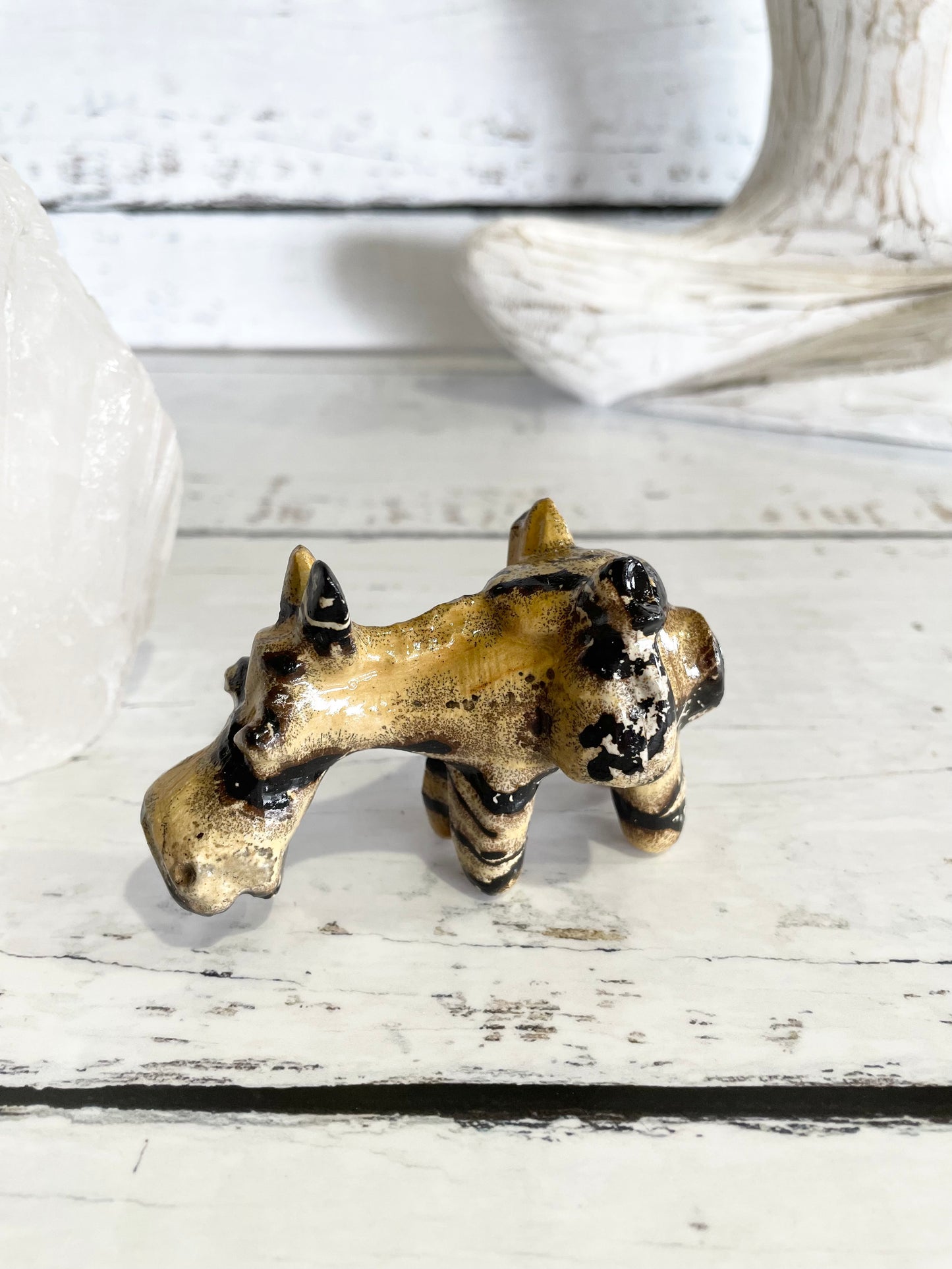 Picture Jasper Donkey ~ 1