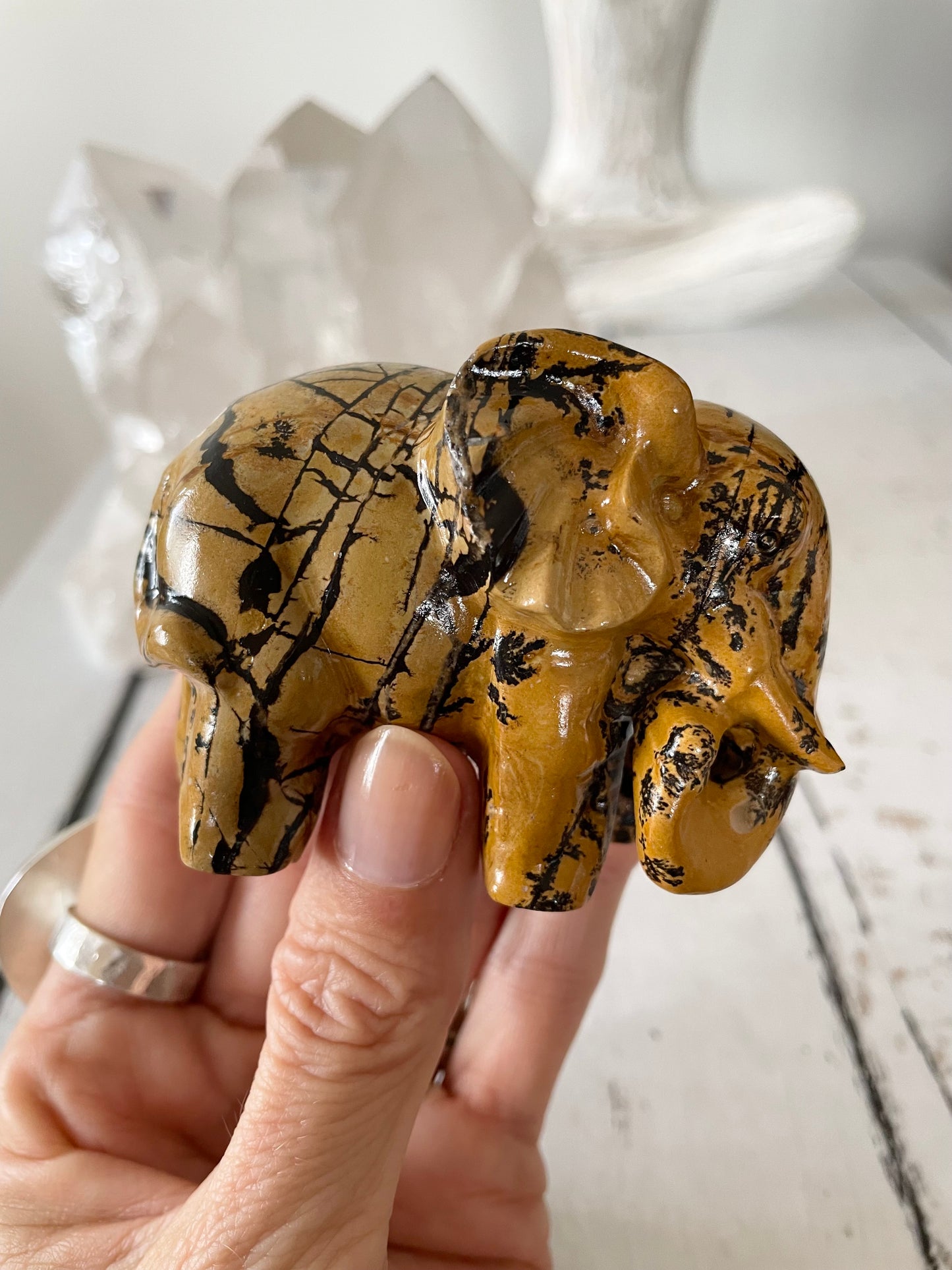 Picture Jasper Elephant