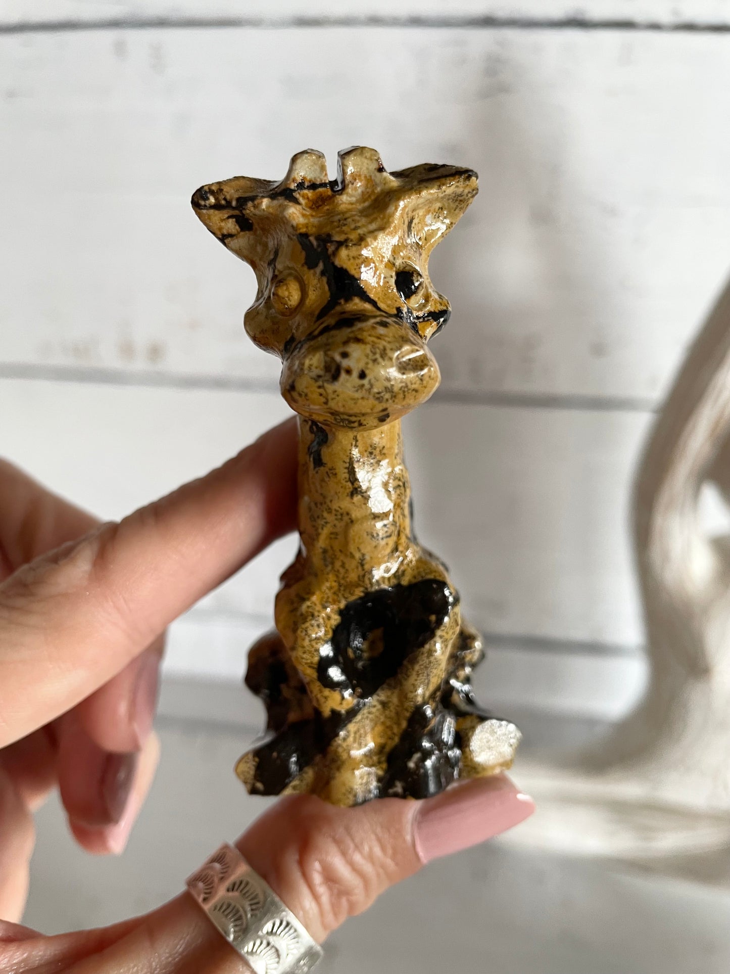 Picture Jasper Giraffe ~ 14