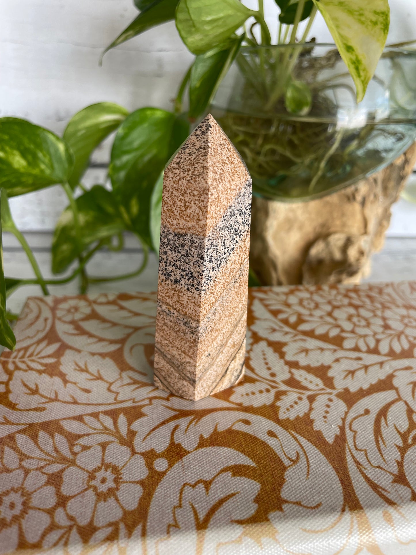 Picture Jasper Generator