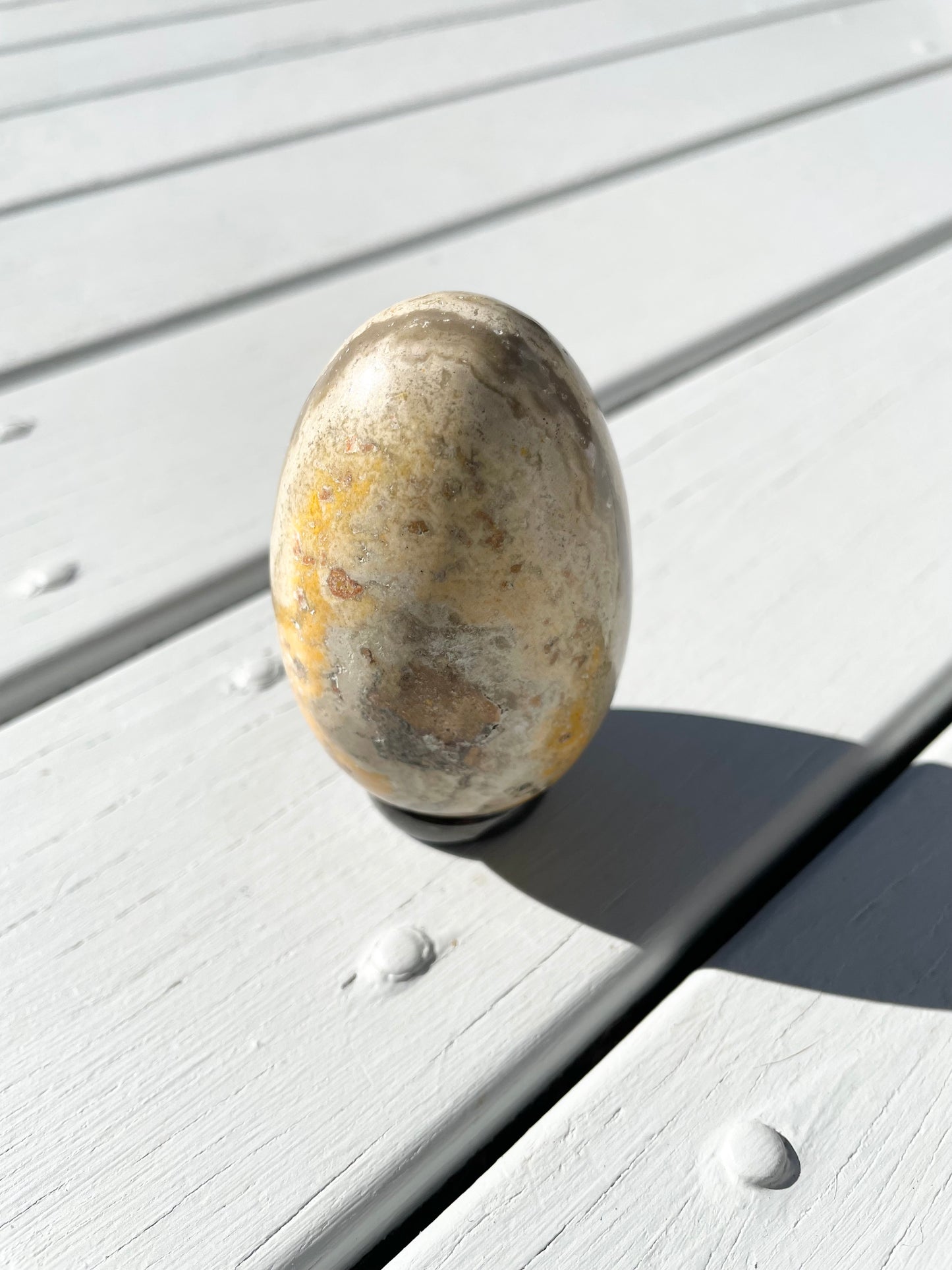Bumble Bee Jasper Egg with holder