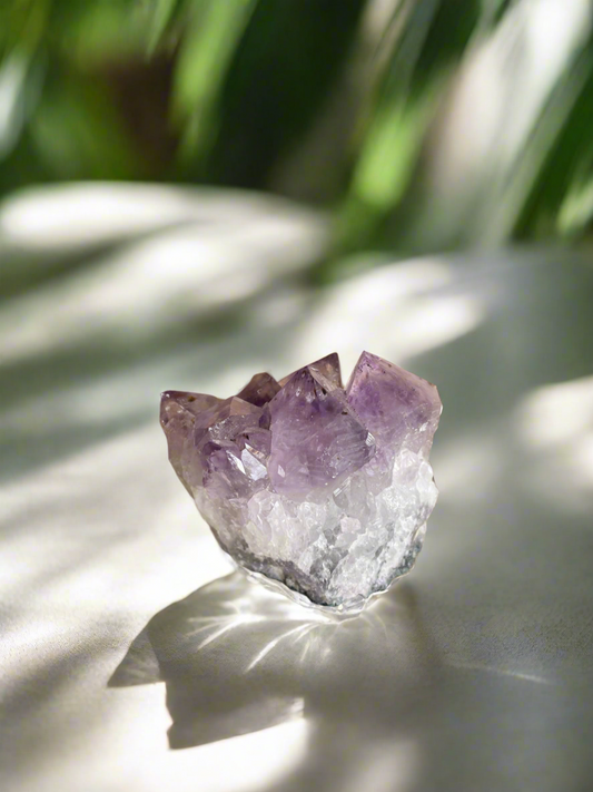Amethyst Cluster