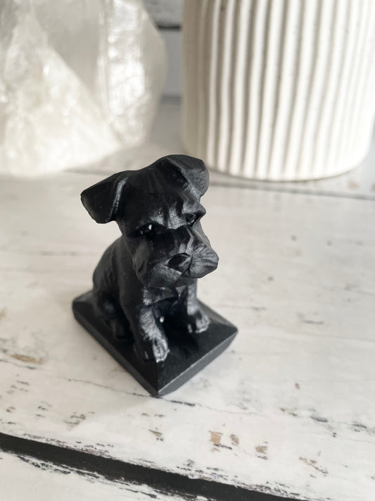 Black Obsidian Dog ~ Schnauzer (old man cutie)