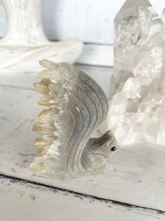 Quartz Squirrel 7