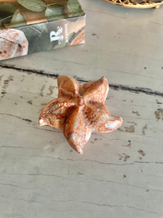 Sea Star ~ Vein Jasper