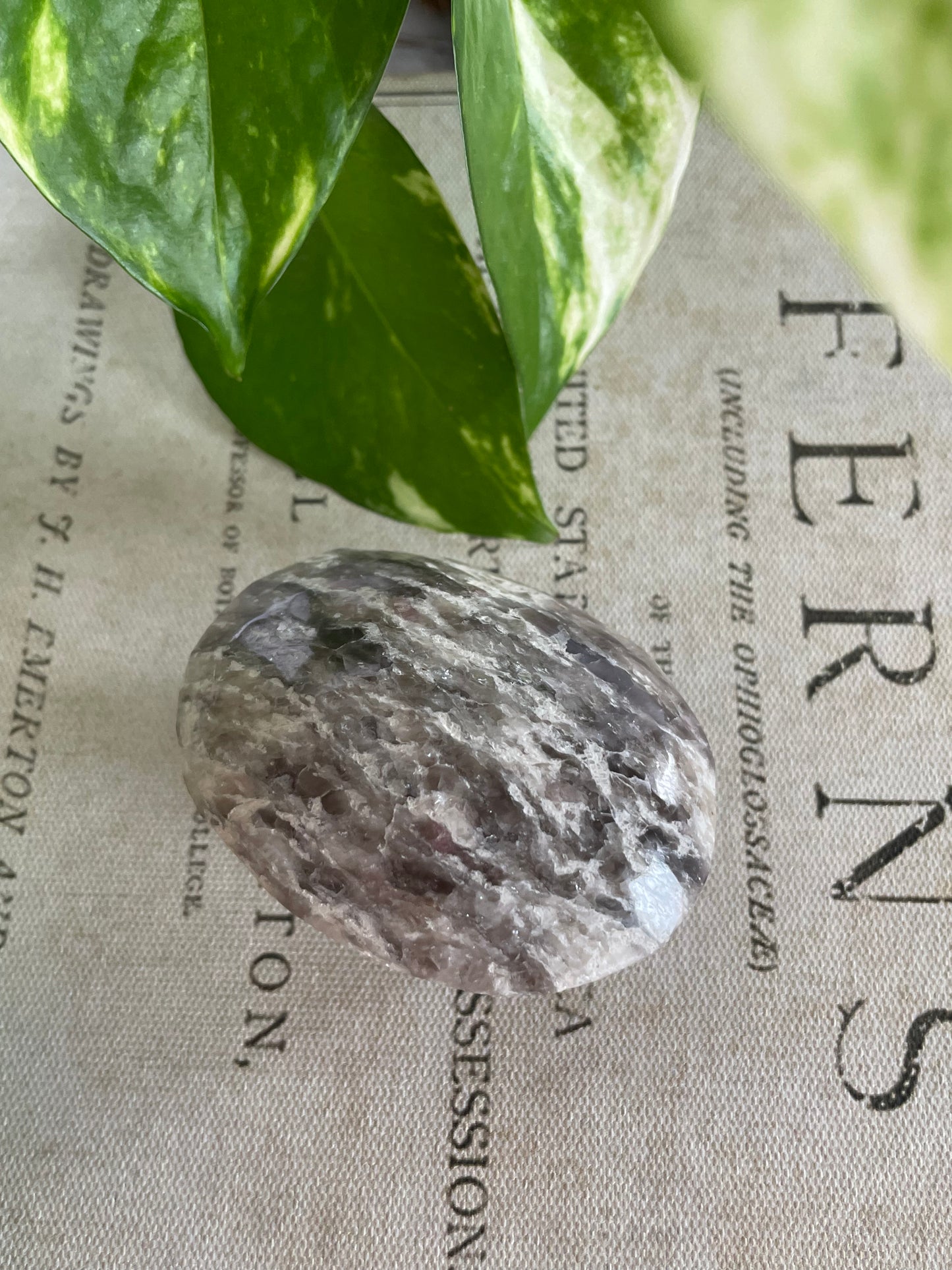 Rubellite Tourmaline Pillow Palm Stone