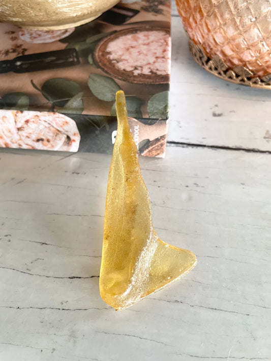 Copal Fossil ~ (young amber)  Colombia