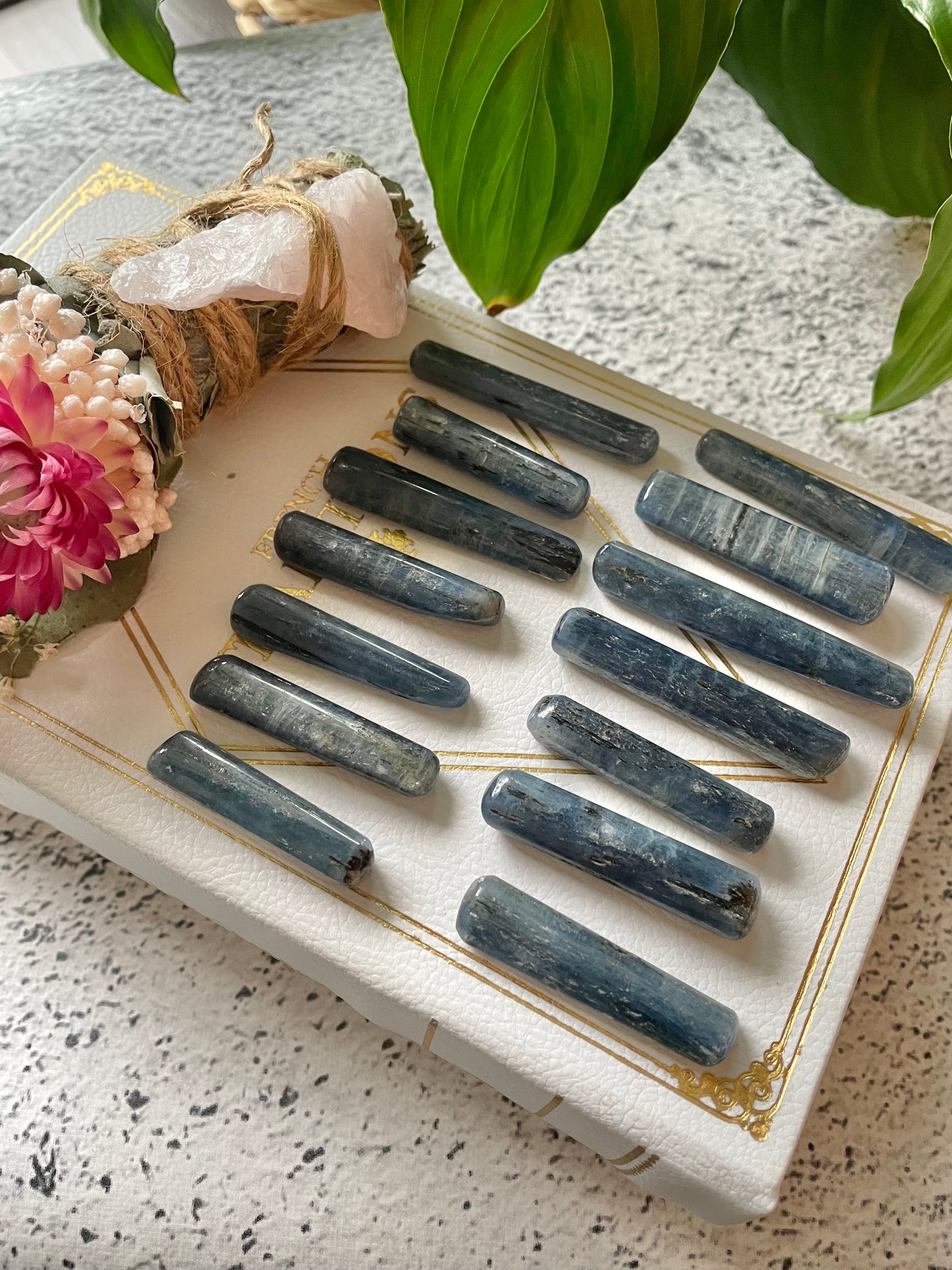 Intuitively Chosen ~ Polished Kyanite Long