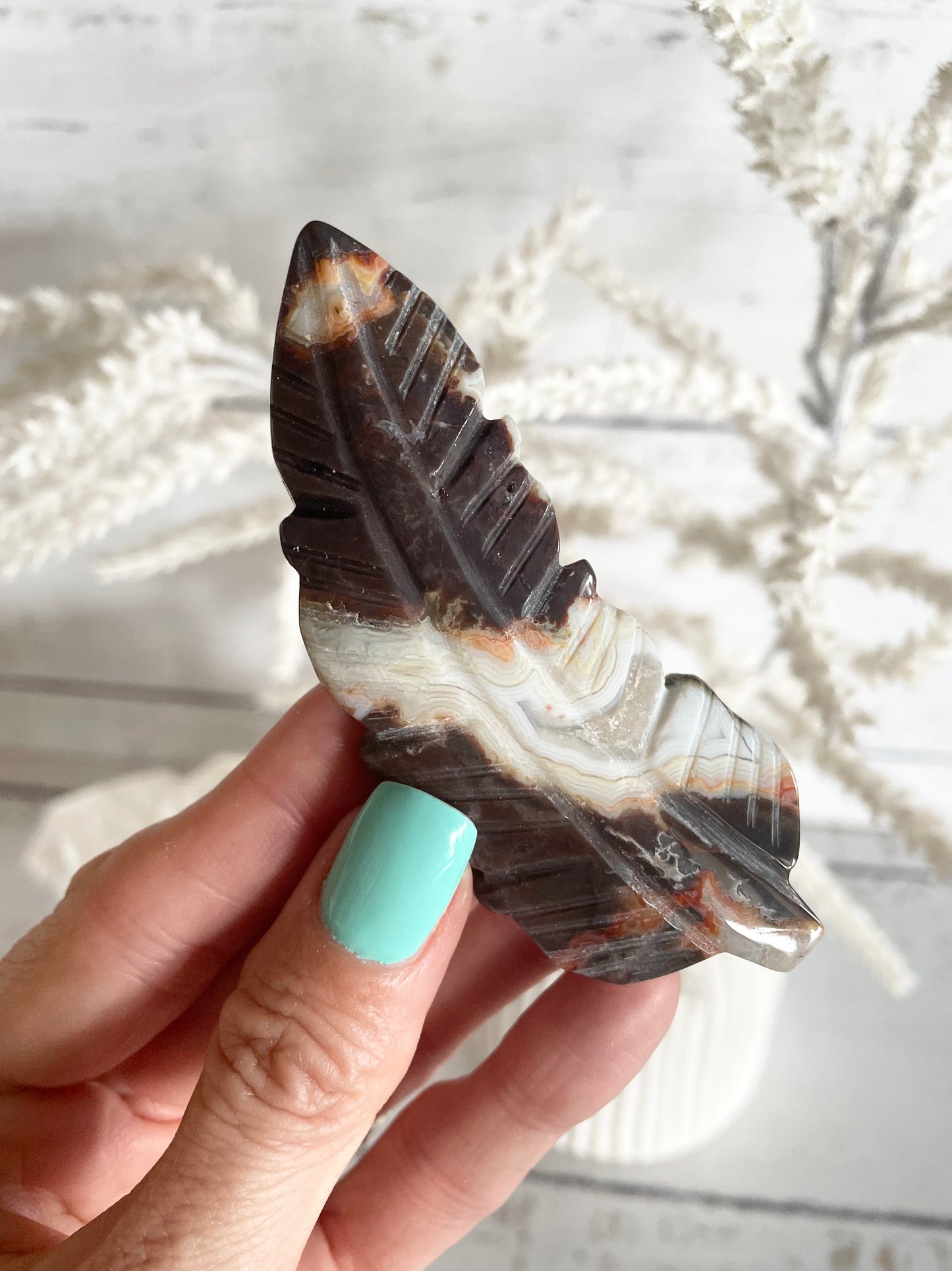 Mexican Crazy Lace Agate feather