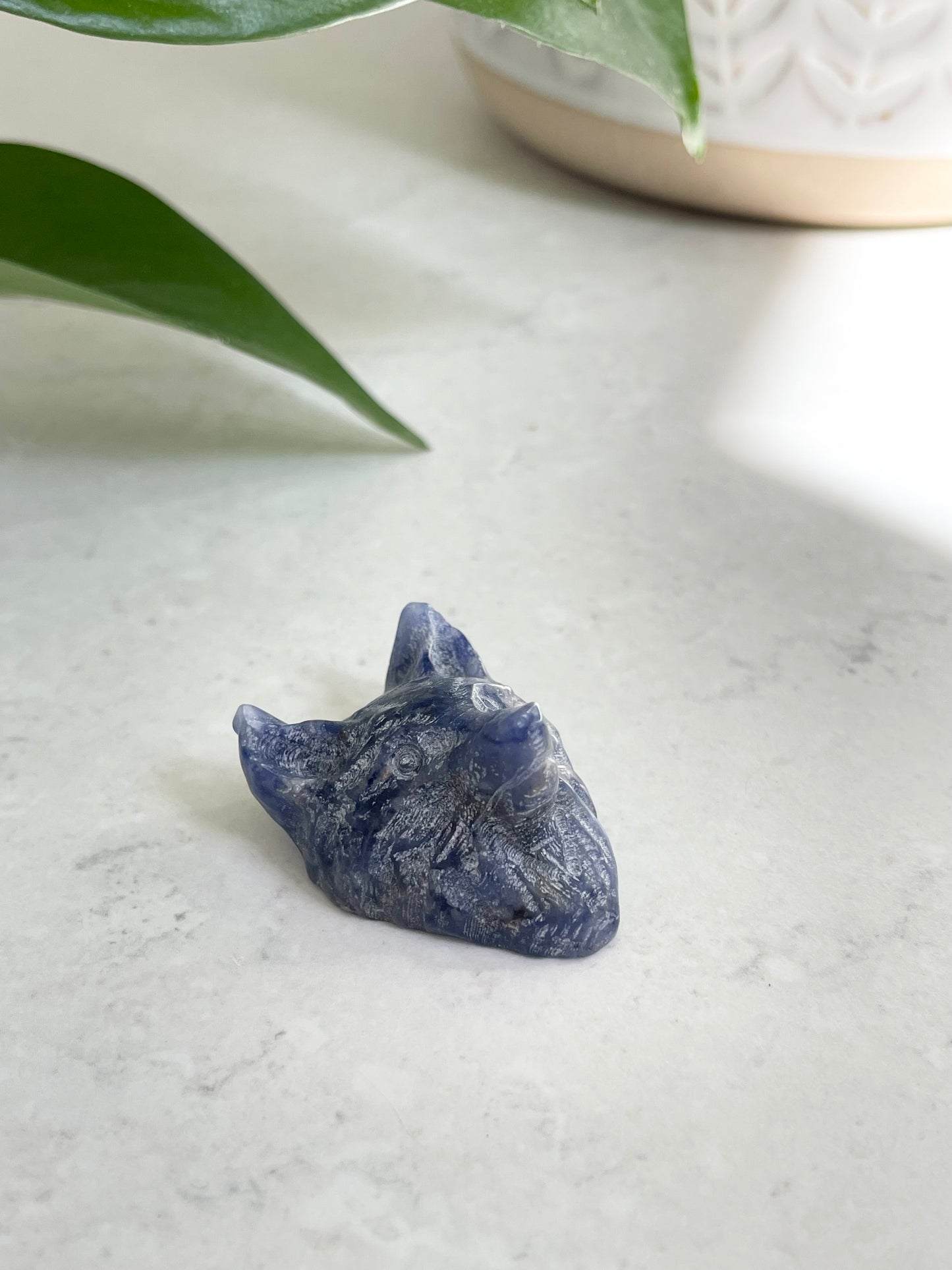 Sodalite Wolf