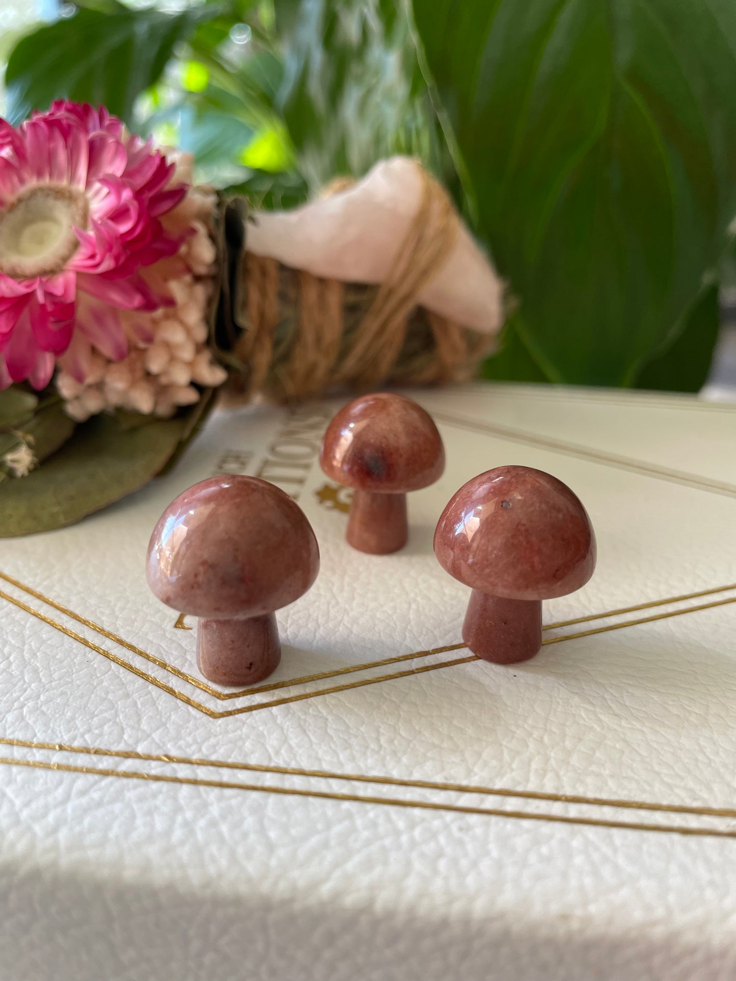 Intuitively chosen ~ Pink Jasper Mushroom