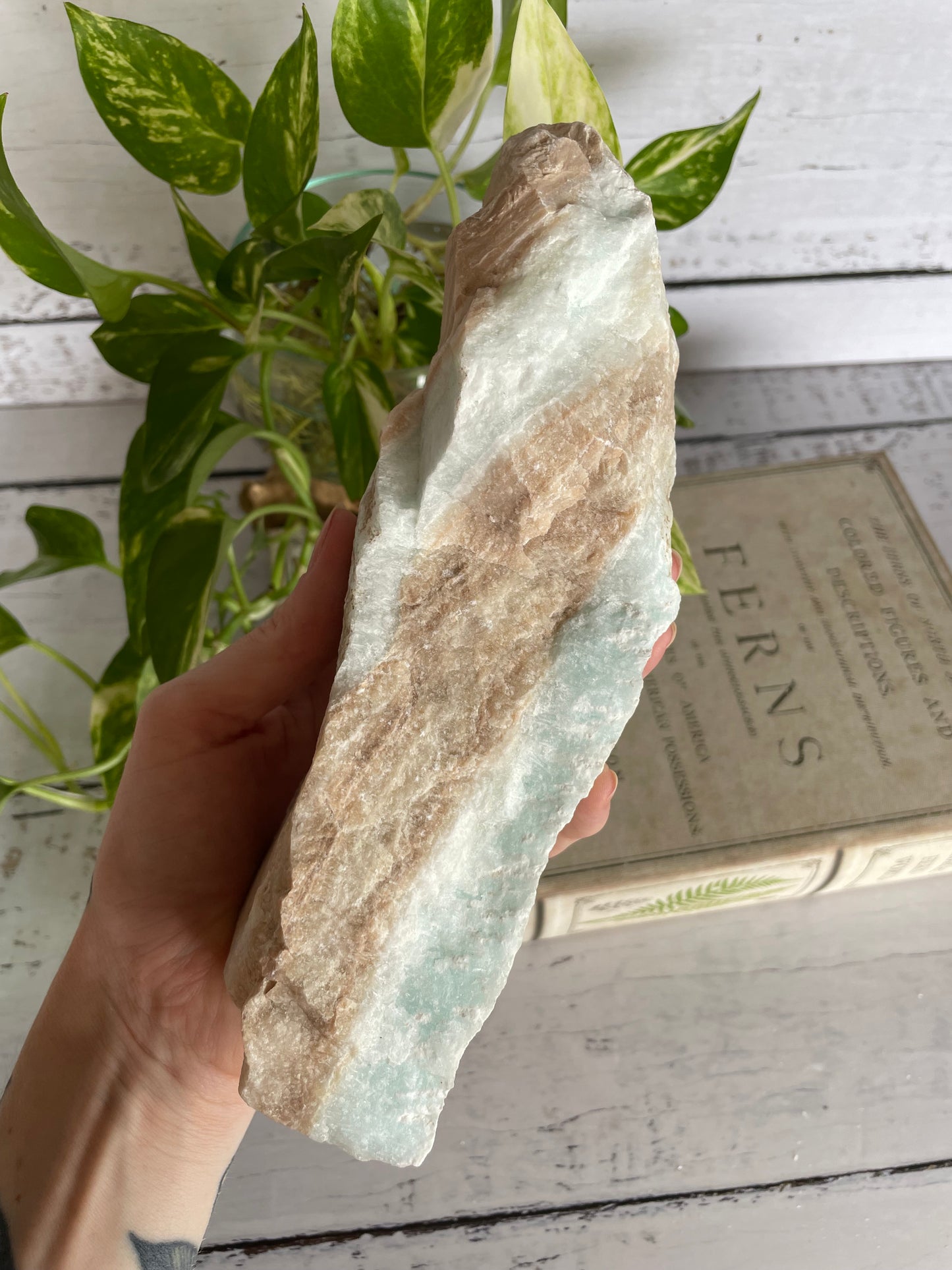 Raw Caribbean Calcite ~ 1.3kgs