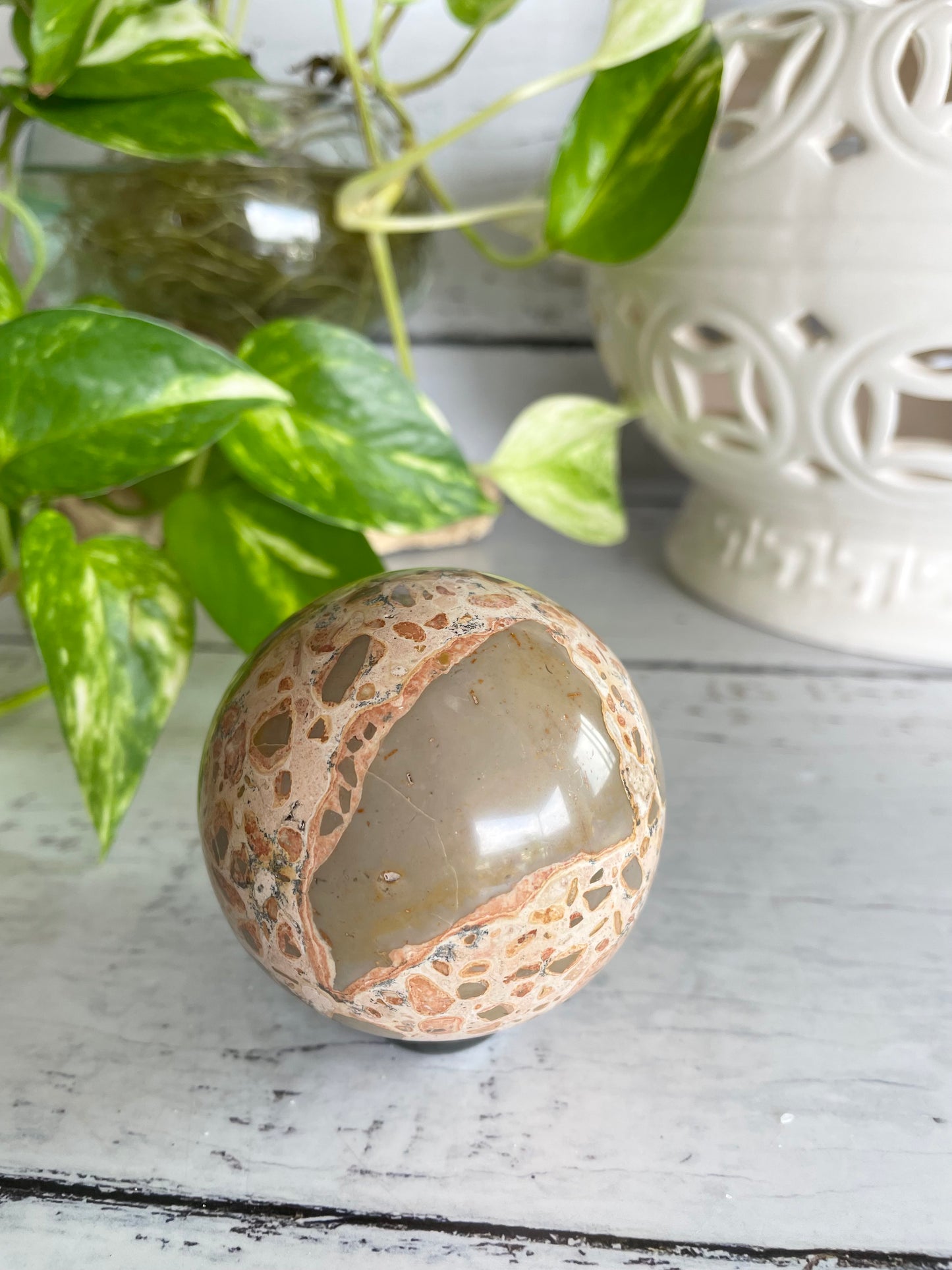 Leopard Skin Jasper Sphere Includes Wooden Holder