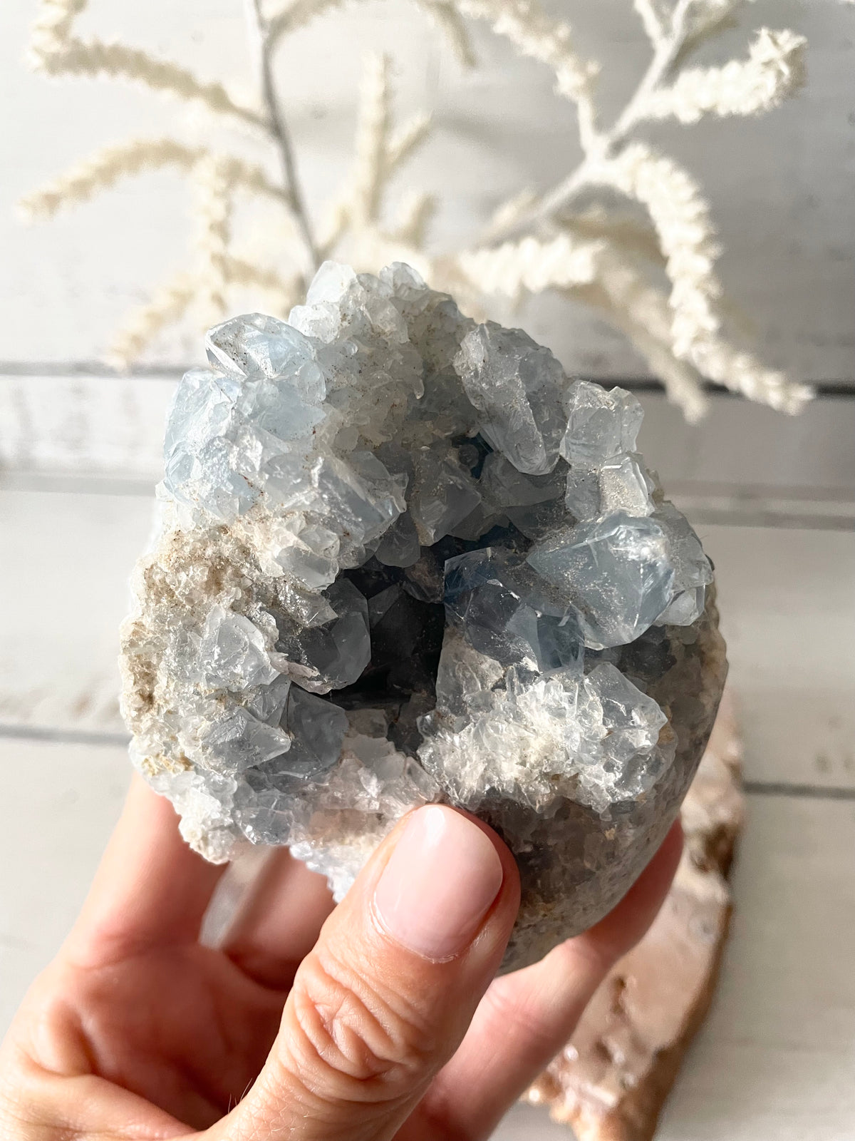 Celestite Cluster