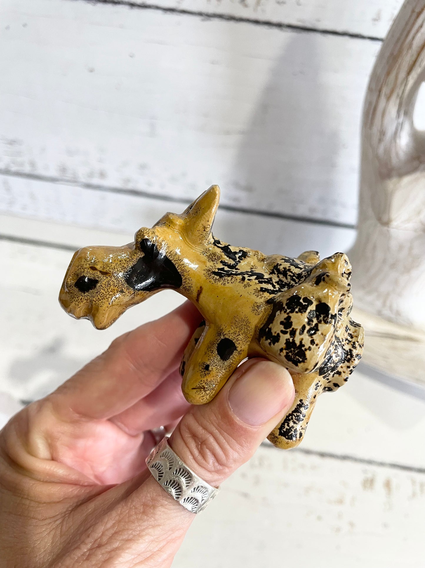 Picture Jasper Donkey ~ 6