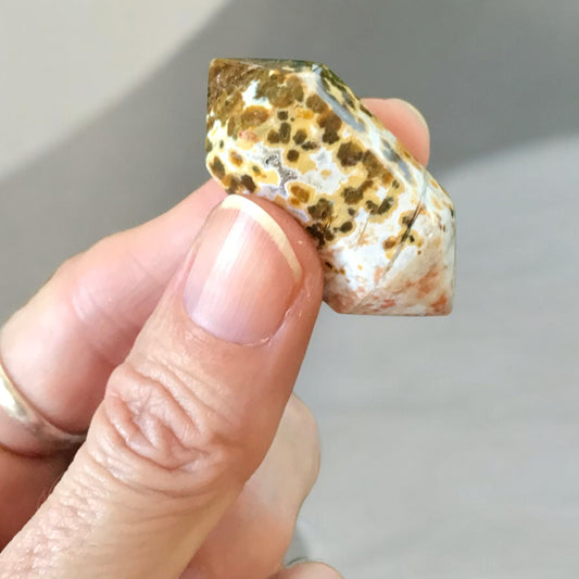 Ocean Jasper Double Point