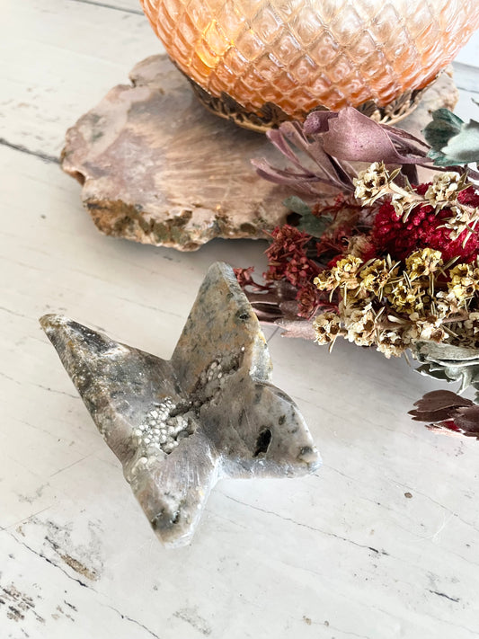 Butterfly ~ Ocean Jasper