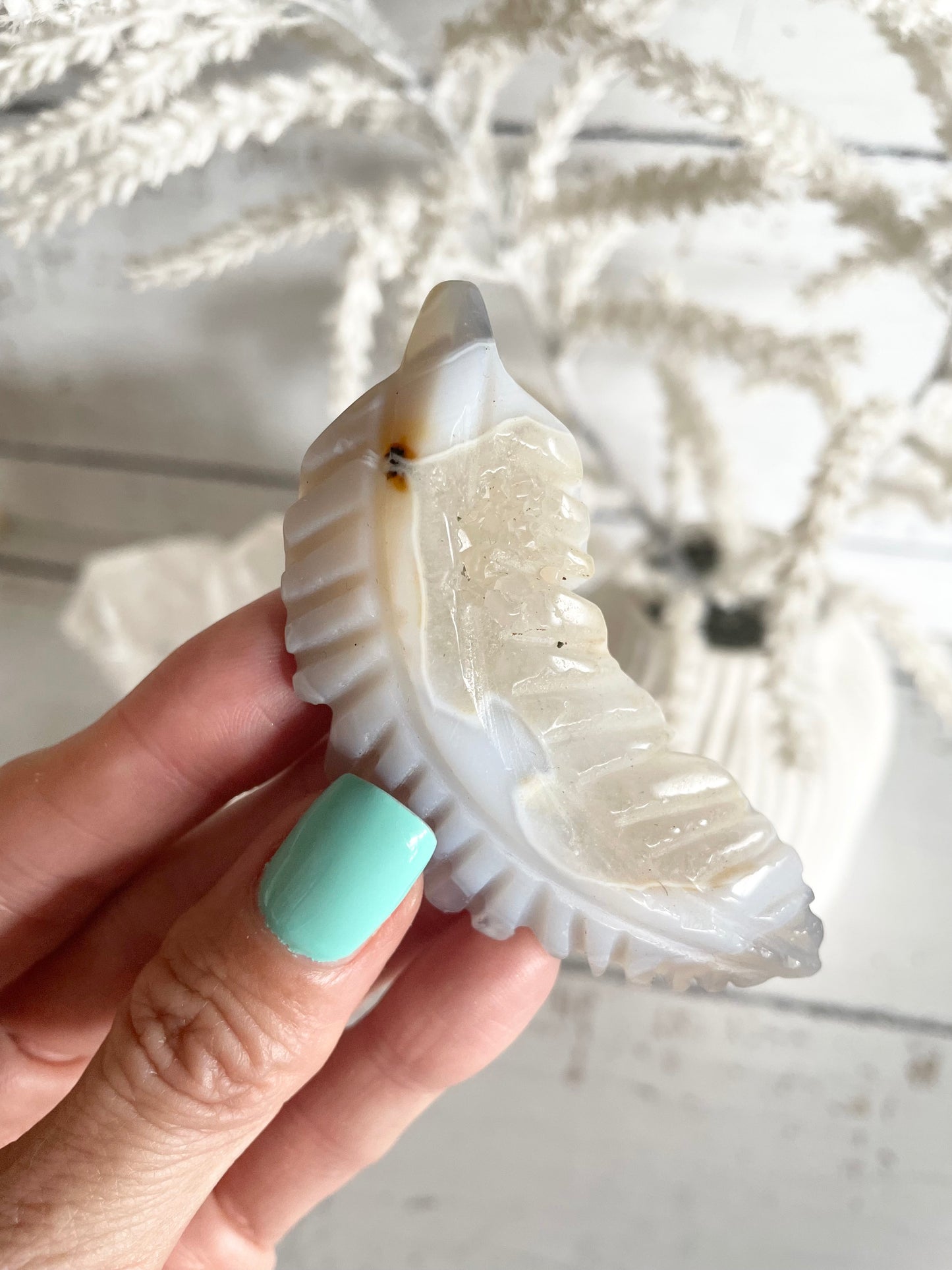 Agate feather