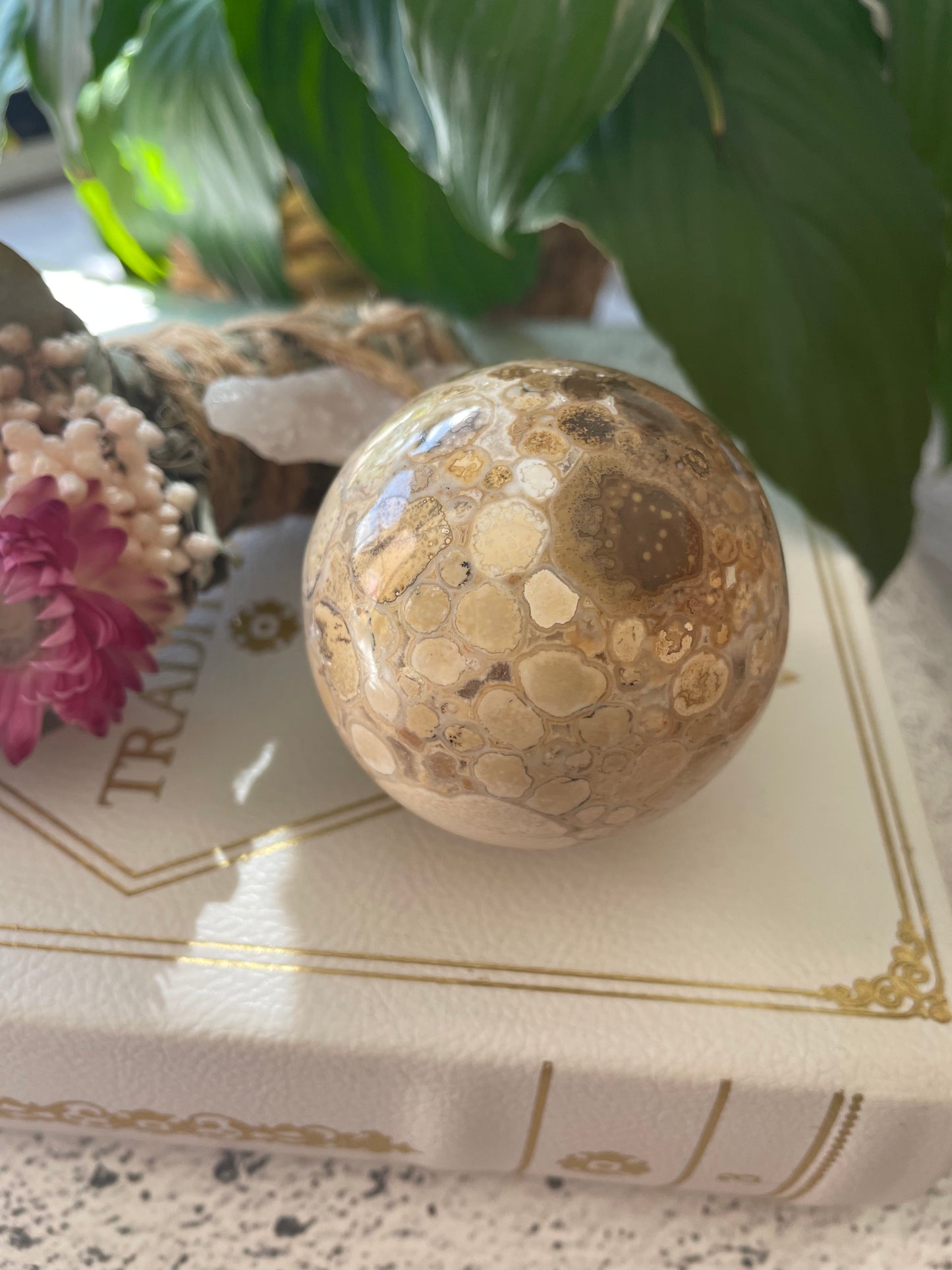 Spotted Agate Sphere Includes Wooden Holder