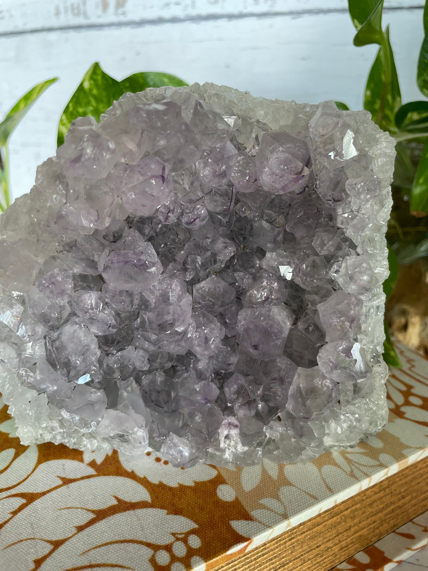 Amethyst Standing Cluster ~ 1.2kgs