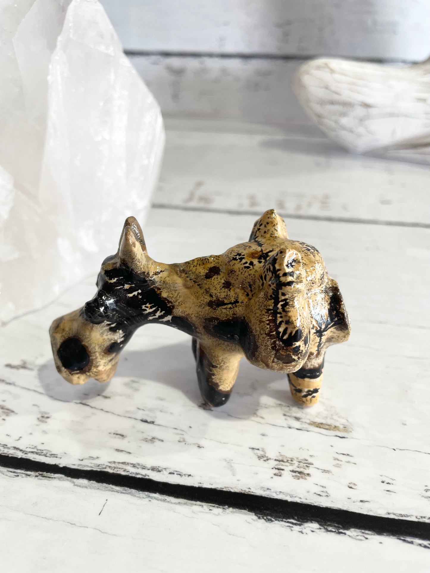 Picture Jasper Donkey ~ 15