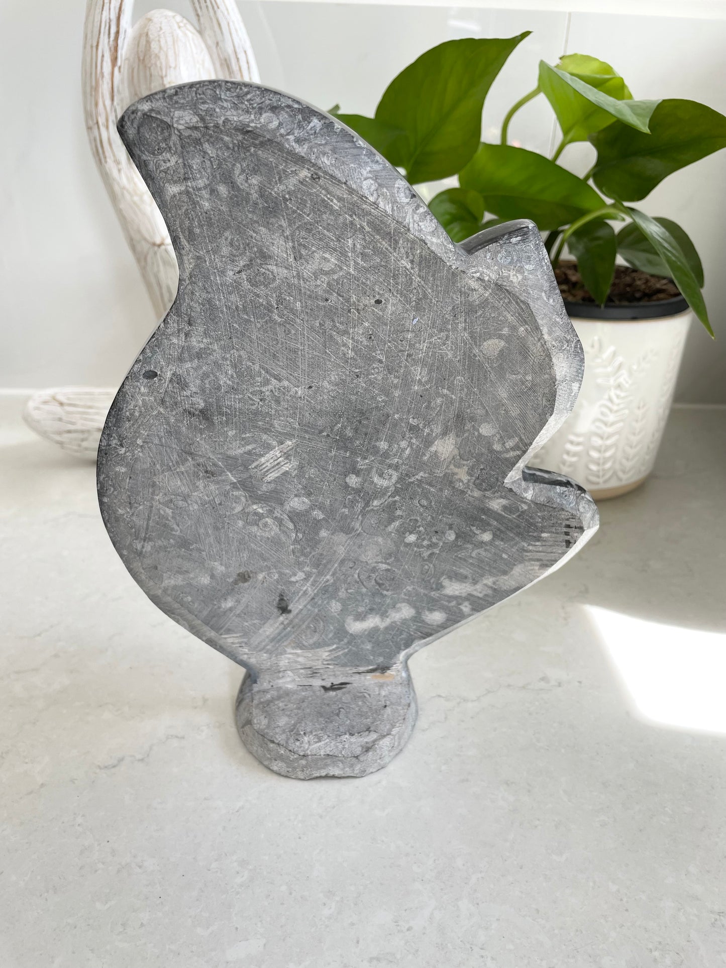 Standing Orthoceras Fossil Plaque