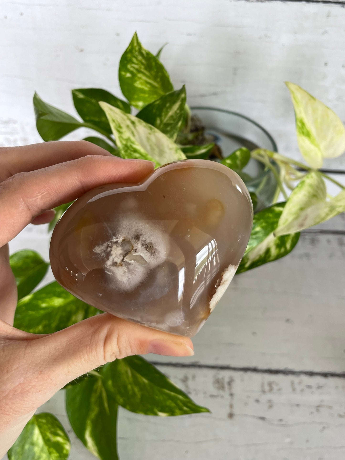 Flower Agate Heart