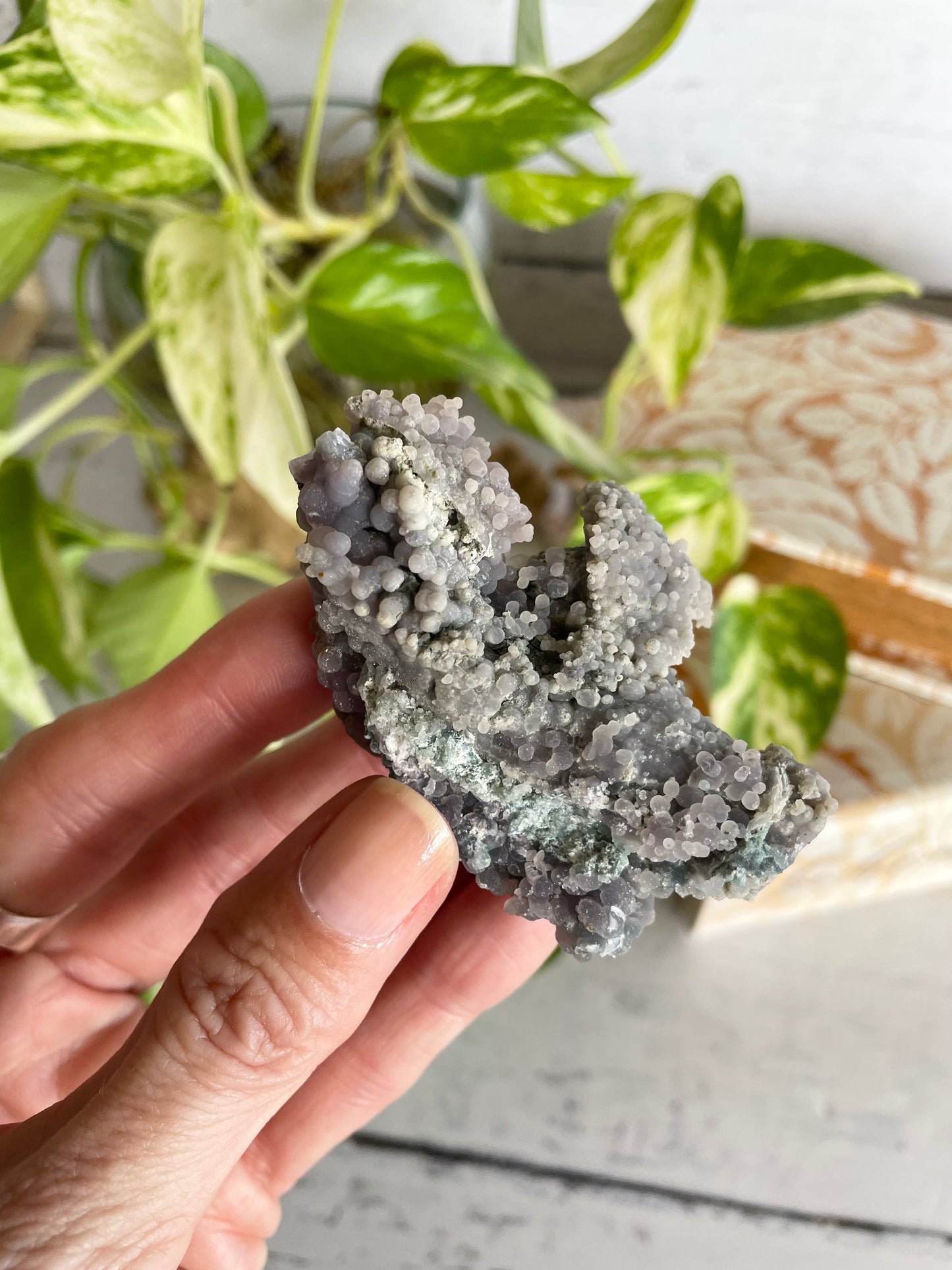 Grape Agate /Botryoidal Purple Chalcedony